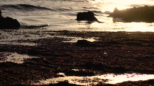 Sunset By the Sea, the Wind Excites the Water, a Light Breeze