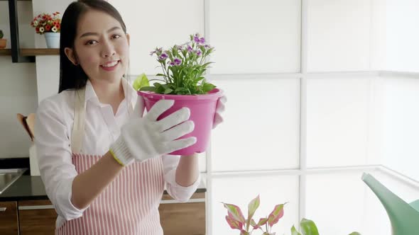 Young woman planting in the flower pots on a counter at home.