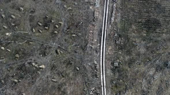 Horrible view of a white road in the middle of a destroyed forest after a hurricane