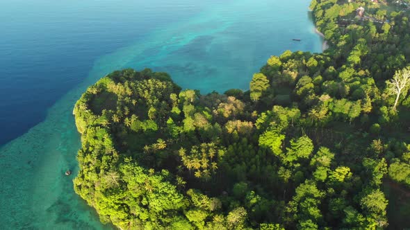 Aerial: flying over tropical island lush green rainforest coral reef