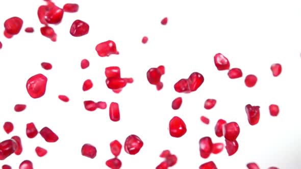 Juicy Grains of Ripe Pomegranate Are Bouncing on the White Background