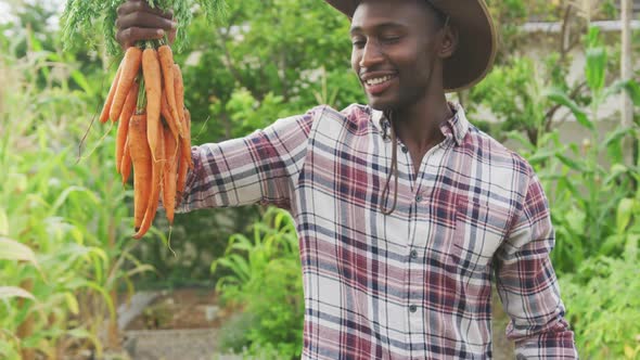 African American man showing carrots at the camera