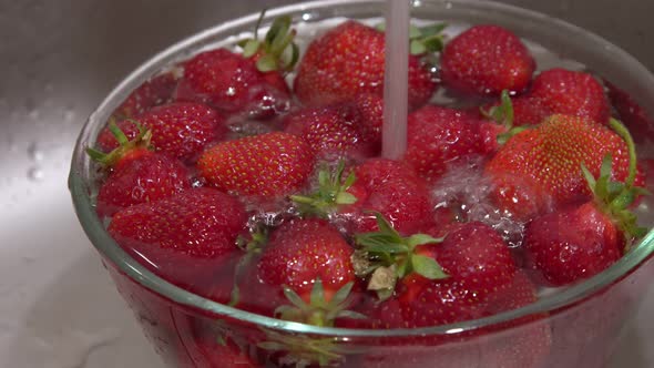 Juicy Ripe Strawberries Washed with Water