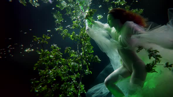 Attractive Lady is Floating in Mysterious Underwater Garden with Enigmatic Green Light