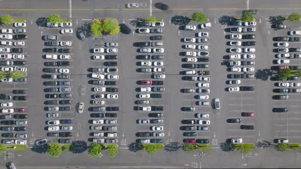 Time Lapse Aerial Fast Driving Cars Parking on Shopping Mall Lot on Summer Day