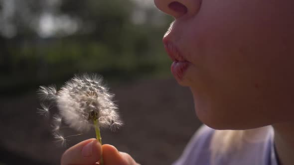 Teen Girl Blowing White Dandelion on Sunny Day 