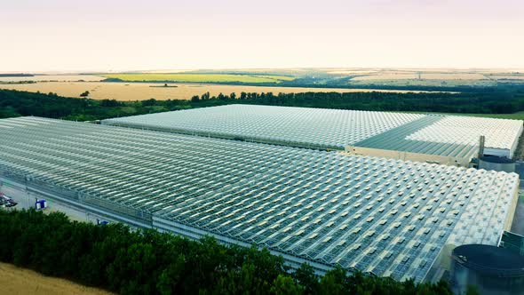 Aerial Top View of Venlo or Dutch Greenhouse Plant