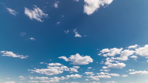 Green Field and Blue Sky with White Cloud Timelapse