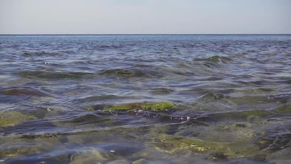 Small Waves Roll on a Rock in the Water on the Shore 