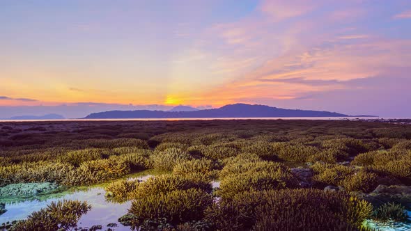 ทำใหม่ Time Lapse Coral Reef In Sunrise