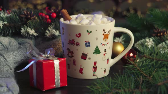 Hot cocoa with marshmallows