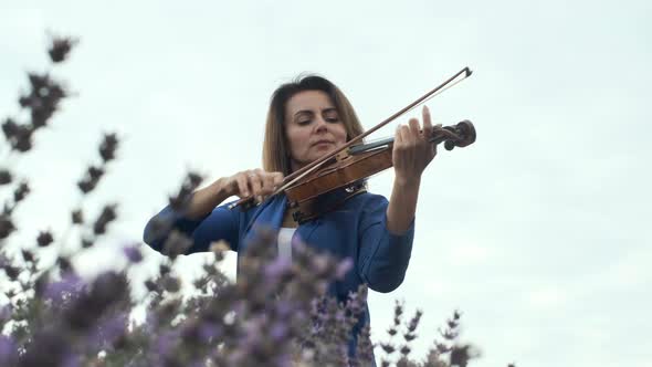Adult Woman Violinist Playing Violin on Summer Lavender Field in Evening