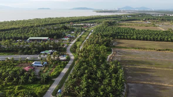 Aerial view plantation near the rural side