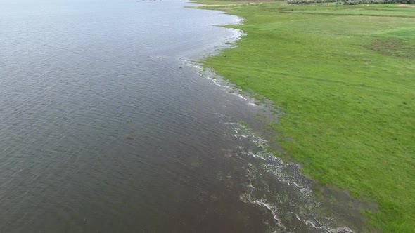 Rising Water Level in Plain Left Fields Under Flood