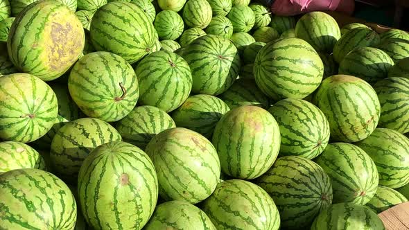 Philippine watermelon fruit files display for sale
