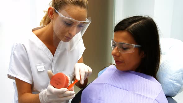 Dentist showing model teeth to female patient