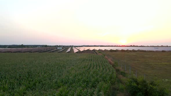 Drone Fly Over Solar Farm. Renewable Green Energy and Electrical Technology. Field of Solar Panels