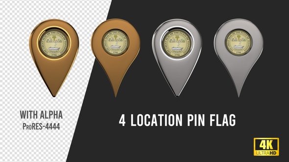 Tennessee State Seal Location Pins Silver And Gold
