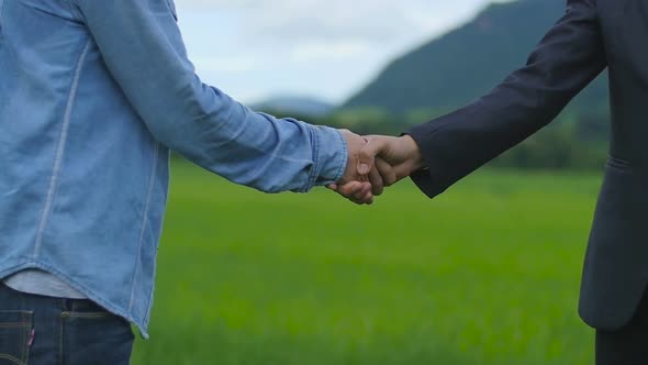 Farmer And Businessman Shaking Hands On Rice Fields