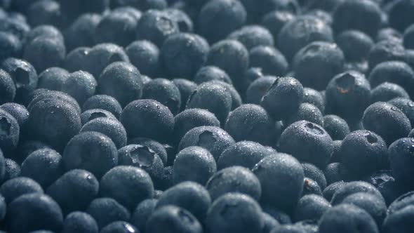 Fine Spray Keeps Blueberries Fresh