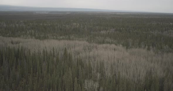 Aerial helicopter flyover of highway bridges over Alaskan river, drone footage