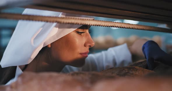 Portrait of Attractive Baker Woman Inside of