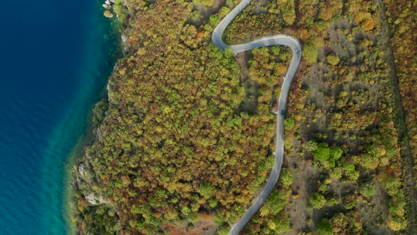 car drive on curvy road in colorful autumn next to lake, top down aerial