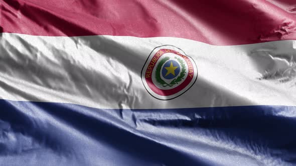 Paraguay textile flag waving on the wind. Slow motion. 20 seconds loop.