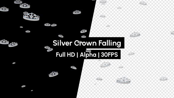 Silver King Crown Falling With Alpha