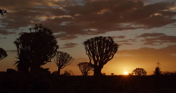 Colorful sunset with beautiful sky, in the Quiver Tree Forest of Namibia, 4k