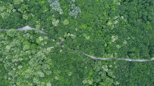 Aerial View Over Forest with a Road Going Through with Car