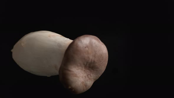 Camera follows throwing Pleurotus eryngii mushroom into water. Slow Motion.