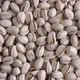 Salted vegan pistachio nuts in bowl close-up - VideoHive Item for Sale