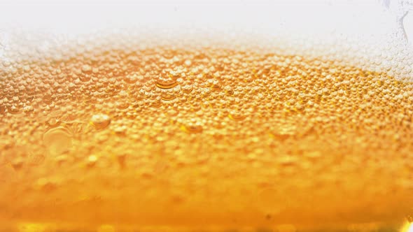 beer . beer foam. beer bubbles. light beer