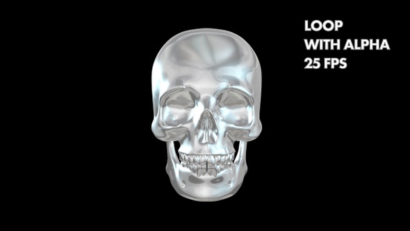 Chrome Skull Rotating