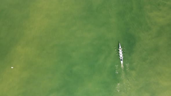 rowers aerial view in golden horn