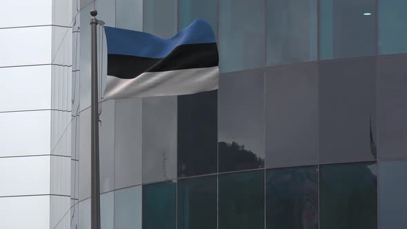 Estonia Flag  Background 4K
