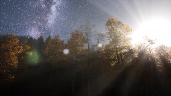 Milky Way Stars with Moonlight Above Pine Trees Forest alt