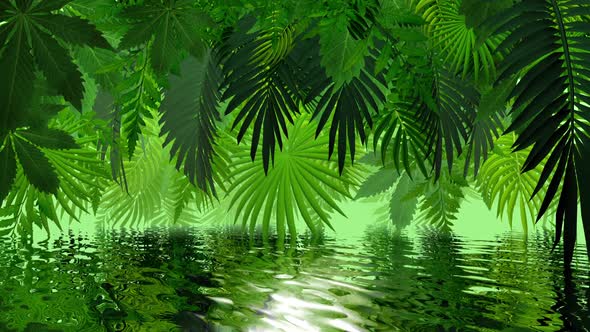 Exotic Plants Over Water