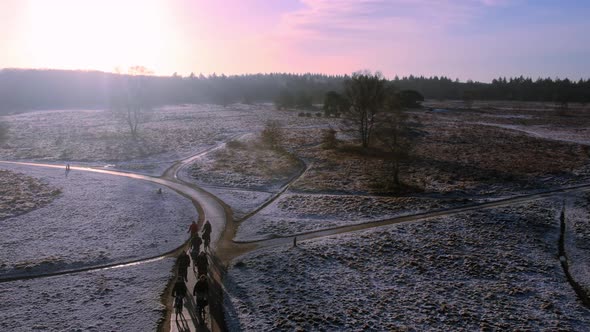 People ride their bicycles in the winter in Veluwe, Netherlands.