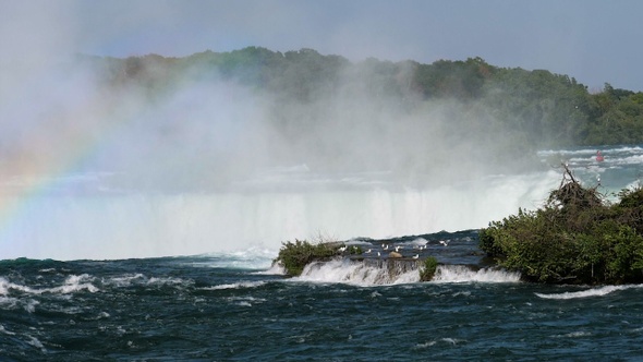 Seagull Above the Niagara-Falls