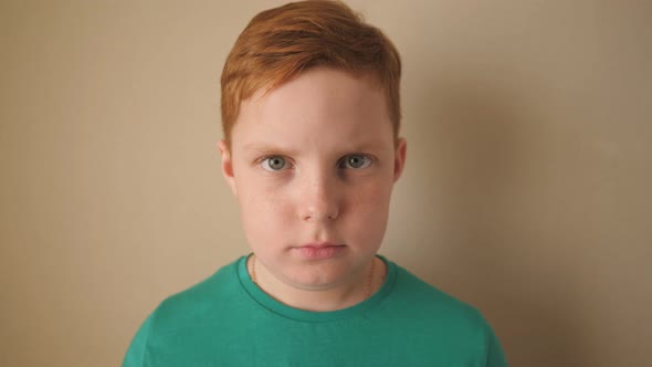 Portrait of Little Serious Red-haired Boy with Freckles Indoor. Unhappy Small Ginger Kid Looking