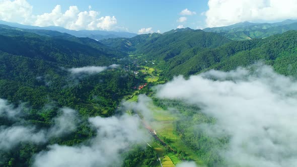 Aerial view drone flying over fog with Nature in morning Agriculture and farmer Rice fields Top Down