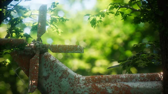 Old Rusted Military Helicopter alt