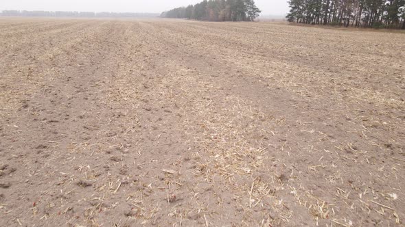 Land in a Plowed Field in Autumn