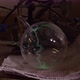 Plasma Balloon Test - VideoHive Item for Sale