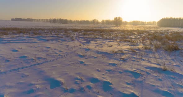 Aerial Drone View of Cold Winter Landscape with Arctic Field, Trees Covered with Frost Snow