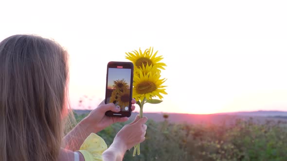 Girl Photographs a Yellow Bouquet of Sunflower Flowers on a Background of Pink Sunset