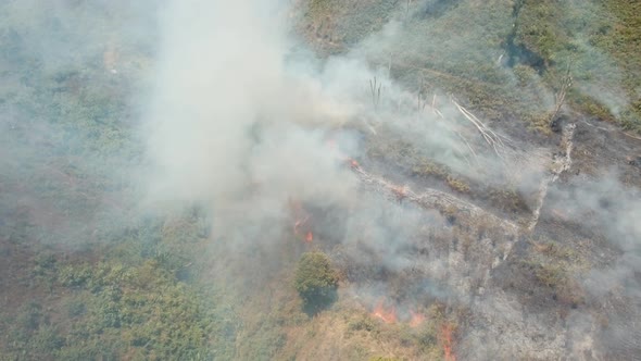 Aerial View Forest Fire. Jawa Island, Indonesia