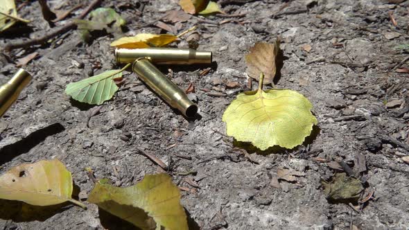 Bullet casings fall to the ground. Shooting in the forest. Slow motion.